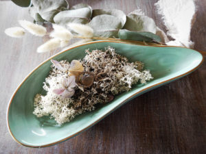 porte alliance coquillage